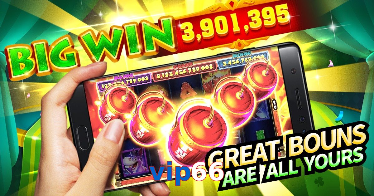 vip66