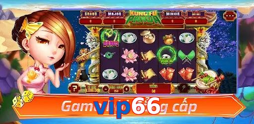 vip66